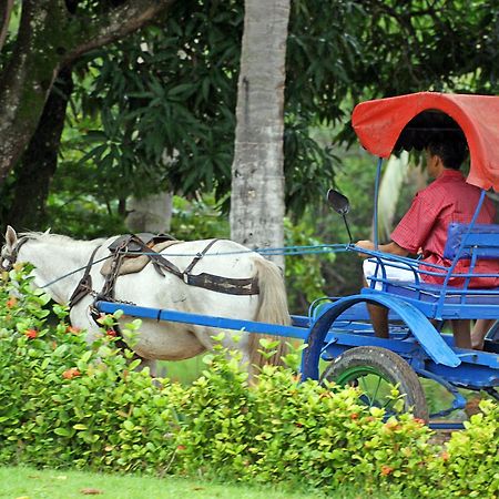 Eco Pousada Paraiso Dos Coqueirais จาปาราตินกา ภายนอก รูปภาพ