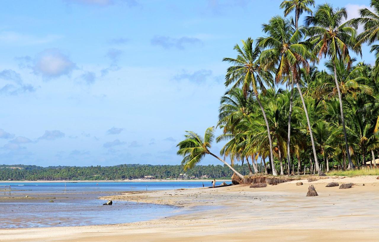 Eco Pousada Paraiso Dos Coqueirais จาปาราตินกา ภายนอก รูปภาพ