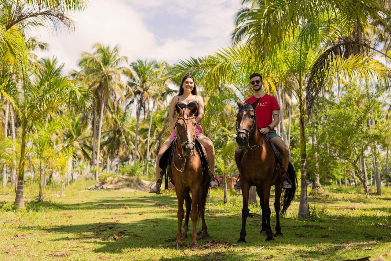 Eco Pousada Paraiso Dos Coqueirais จาปาราตินกา ภายนอก รูปภาพ
