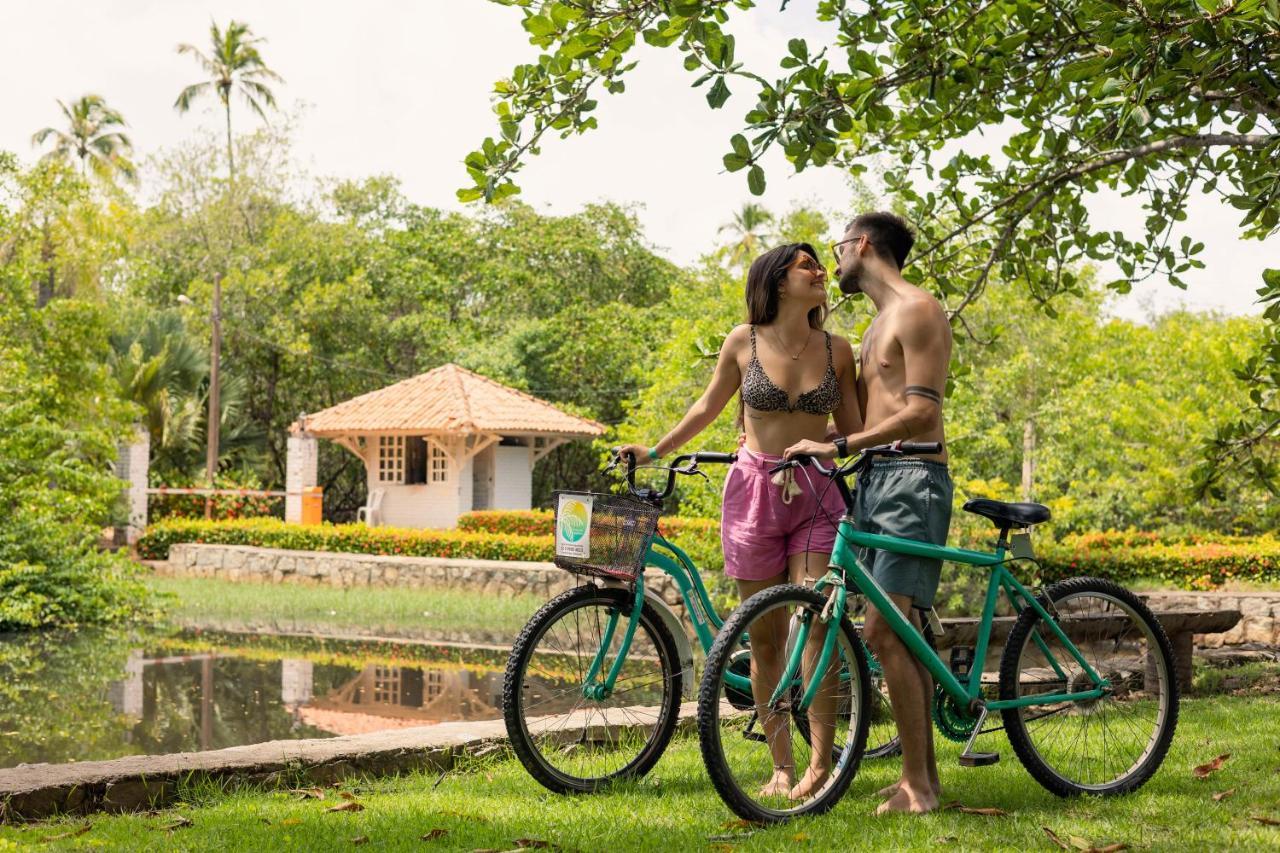 Eco Pousada Paraiso Dos Coqueirais จาปาราตินกา ภายนอก รูปภาพ