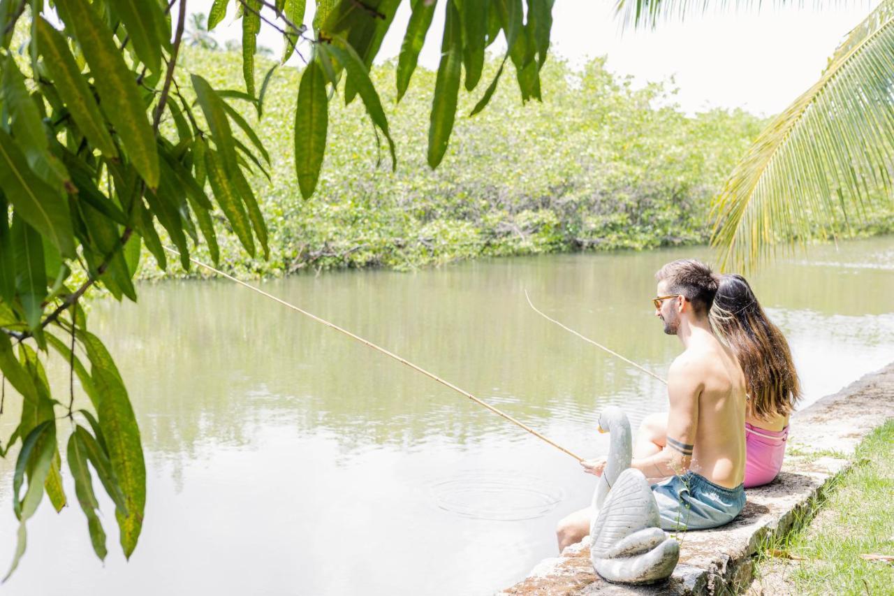 Eco Pousada Paraiso Dos Coqueirais จาปาราตินกา ภายนอก รูปภาพ
