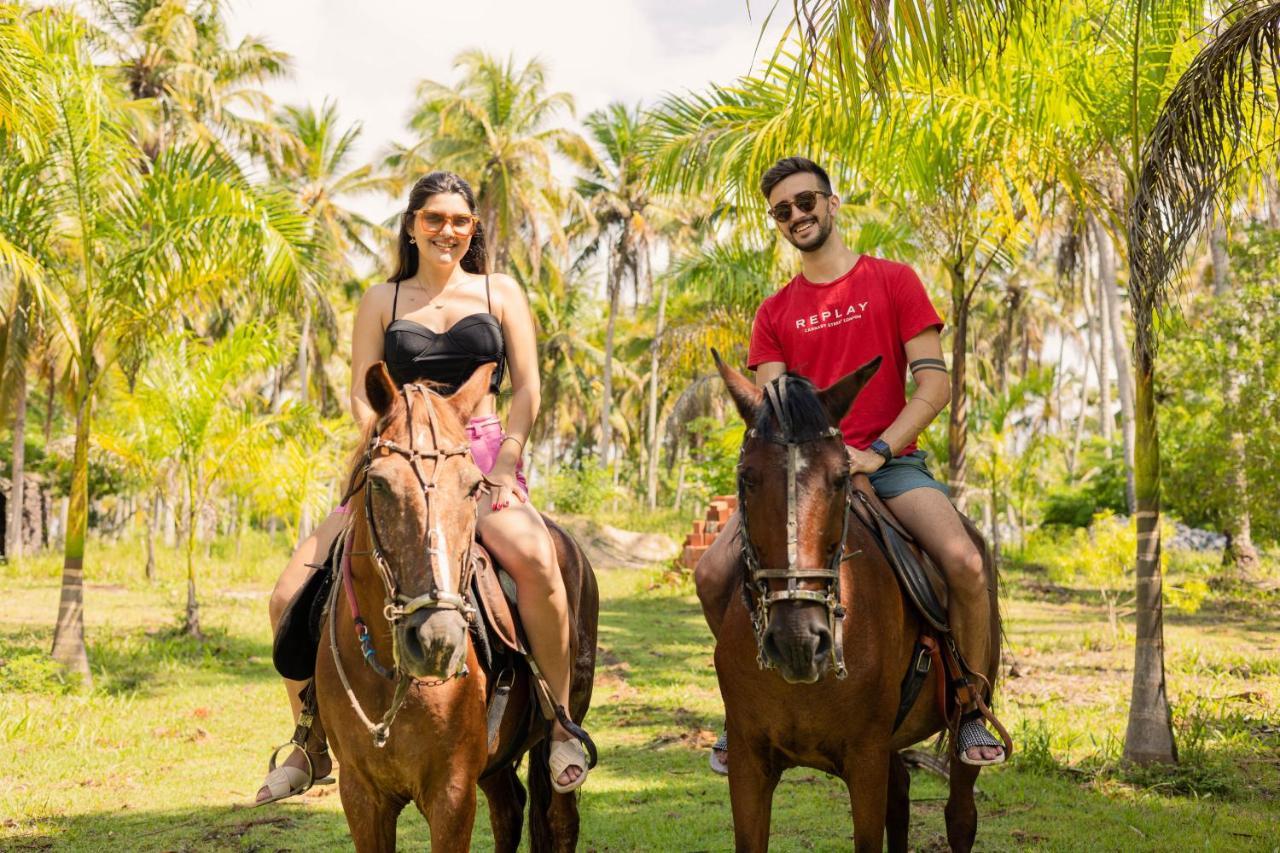 Eco Pousada Paraiso Dos Coqueirais จาปาราตินกา ภายนอก รูปภาพ