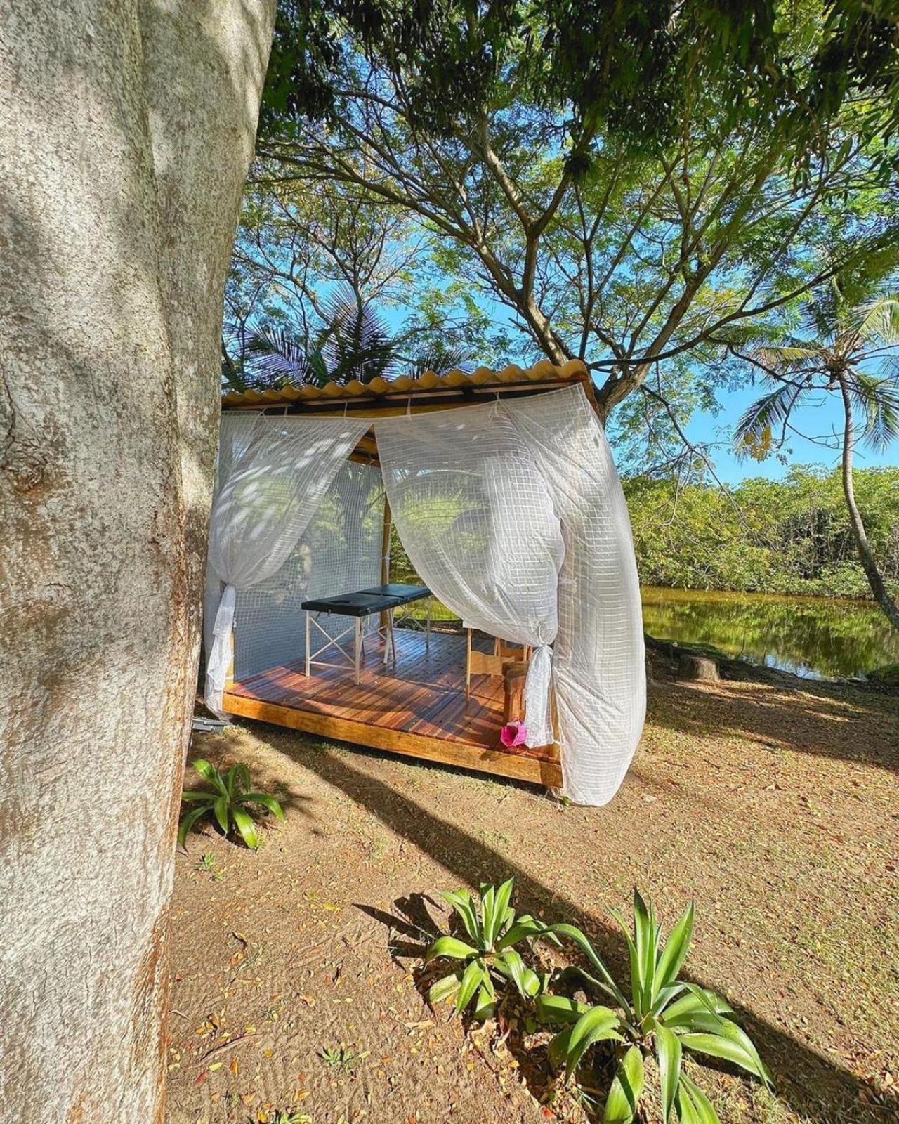 Eco Pousada Paraiso Dos Coqueirais จาปาราตินกา ภายนอก รูปภาพ