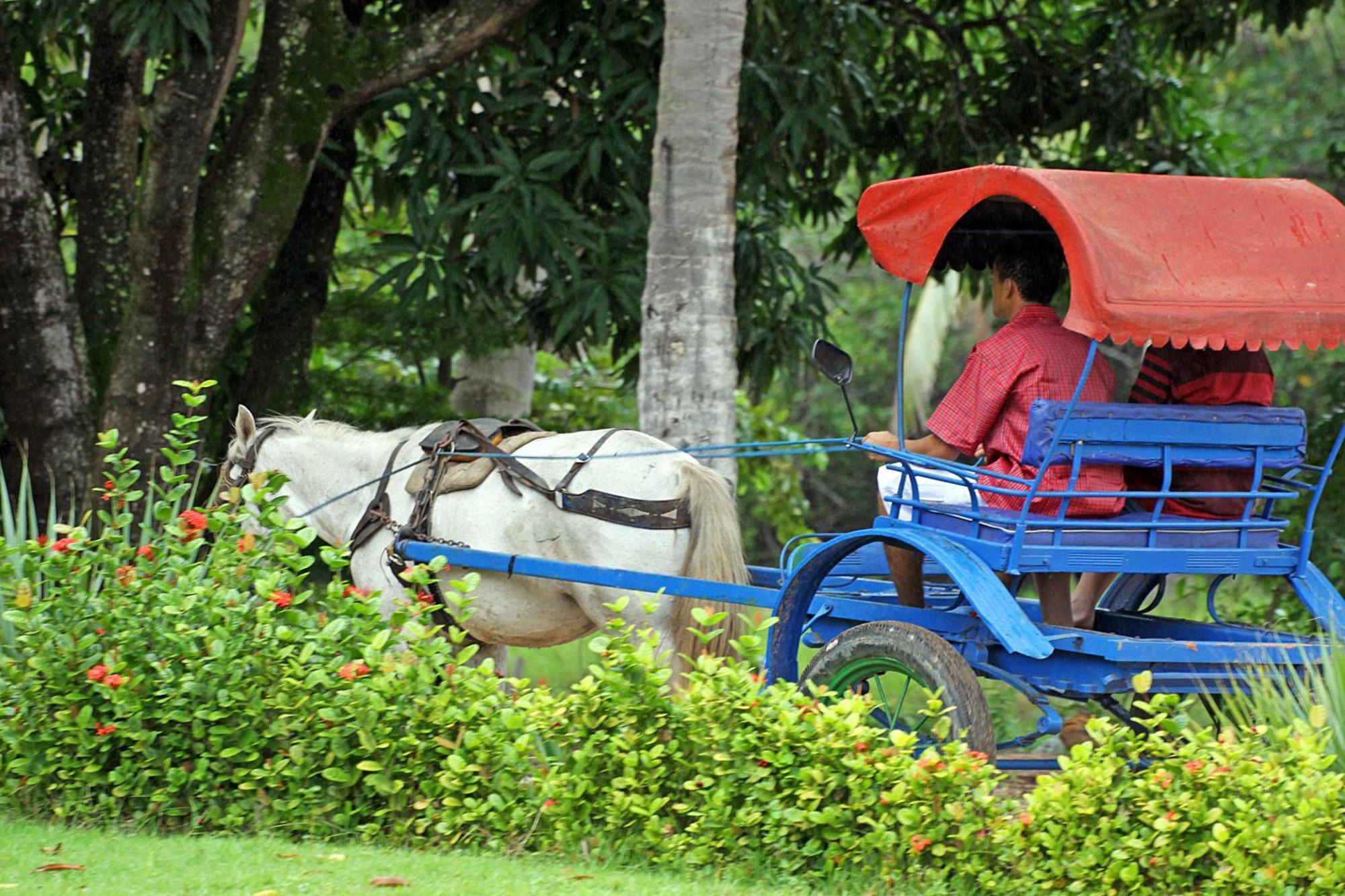 Eco Pousada Paraiso Dos Coqueirais จาปาราตินกา ภายนอก รูปภาพ