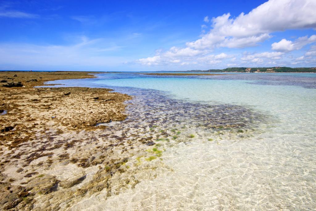 Eco Pousada Paraiso Dos Coqueirais จาปาราตินกา ภายนอก รูปภาพ