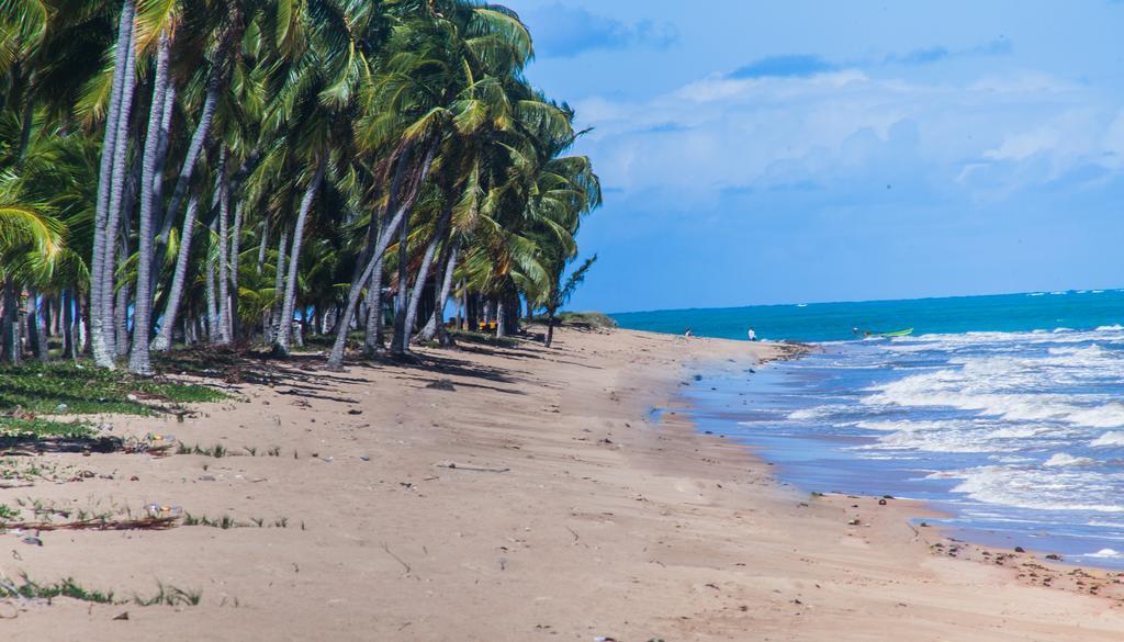 Eco Pousada Paraiso Dos Coqueirais จาปาราตินกา ภายนอก รูปภาพ