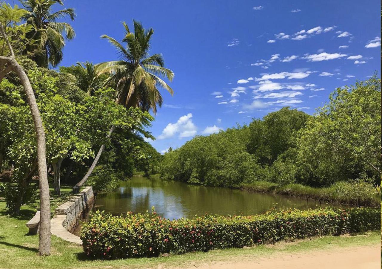 Eco Pousada Paraiso Dos Coqueirais จาปาราตินกา ภายนอก รูปภาพ