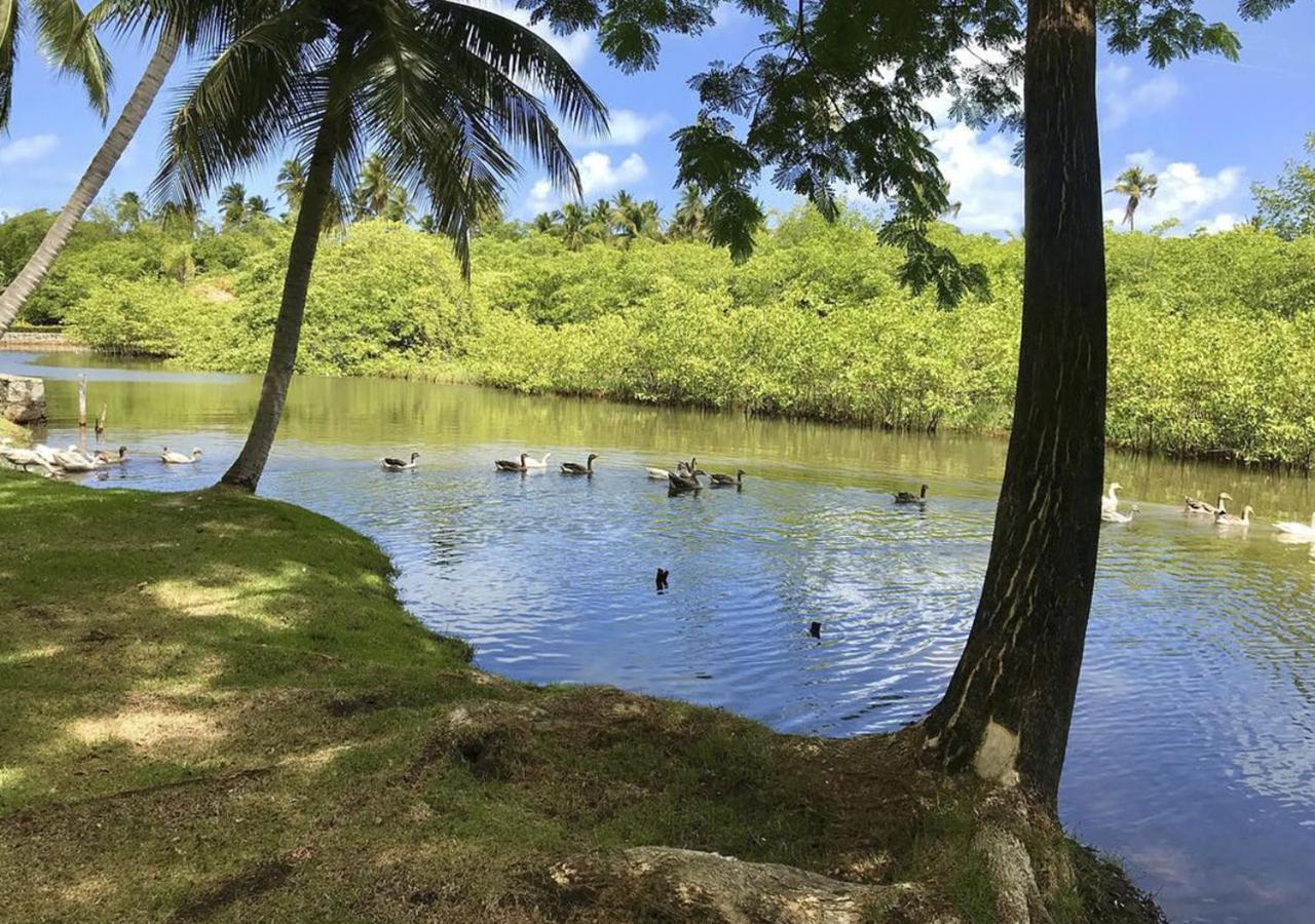 Eco Pousada Paraiso Dos Coqueirais จาปาราตินกา ภายนอก รูปภาพ