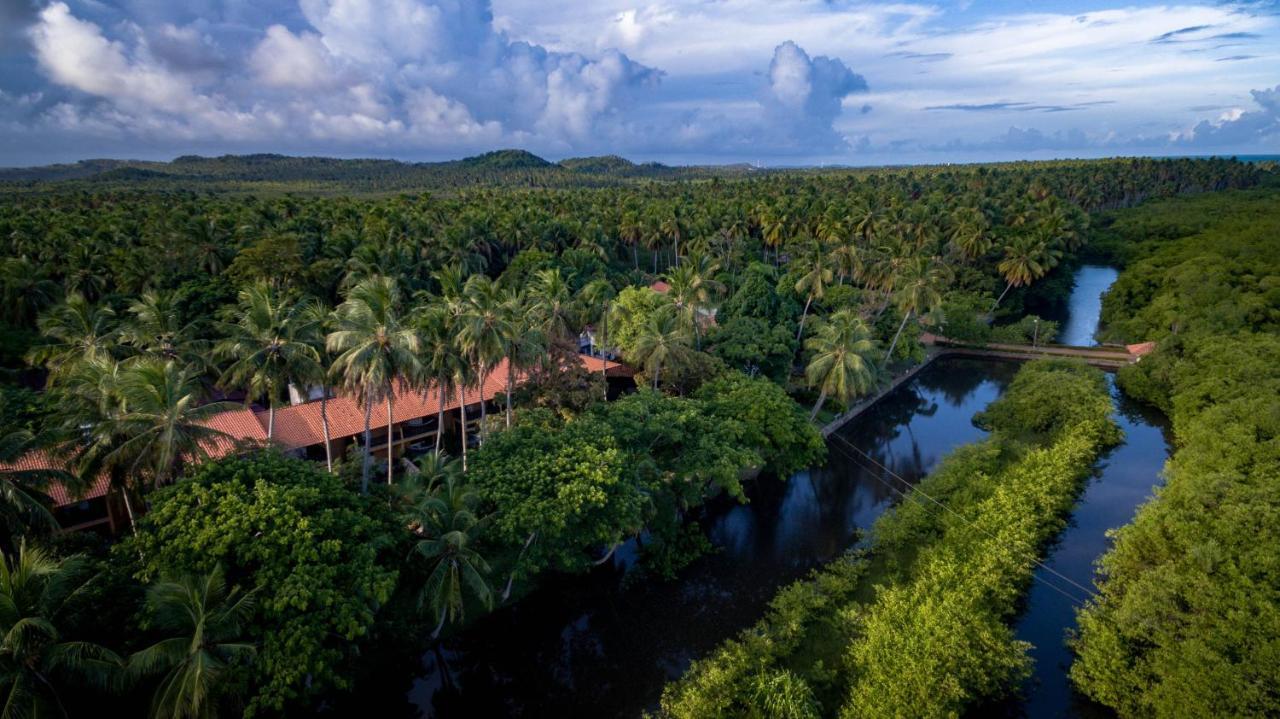 Eco Pousada Paraiso Dos Coqueirais จาปาราตินกา ภายนอก รูปภาพ