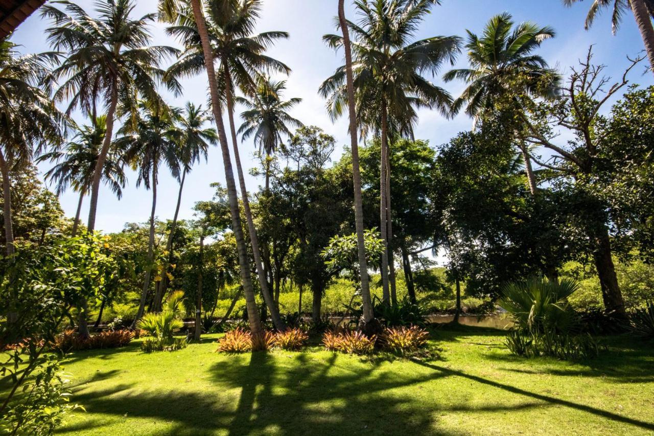 Eco Pousada Paraiso Dos Coqueirais จาปาราตินกา ภายนอก รูปภาพ