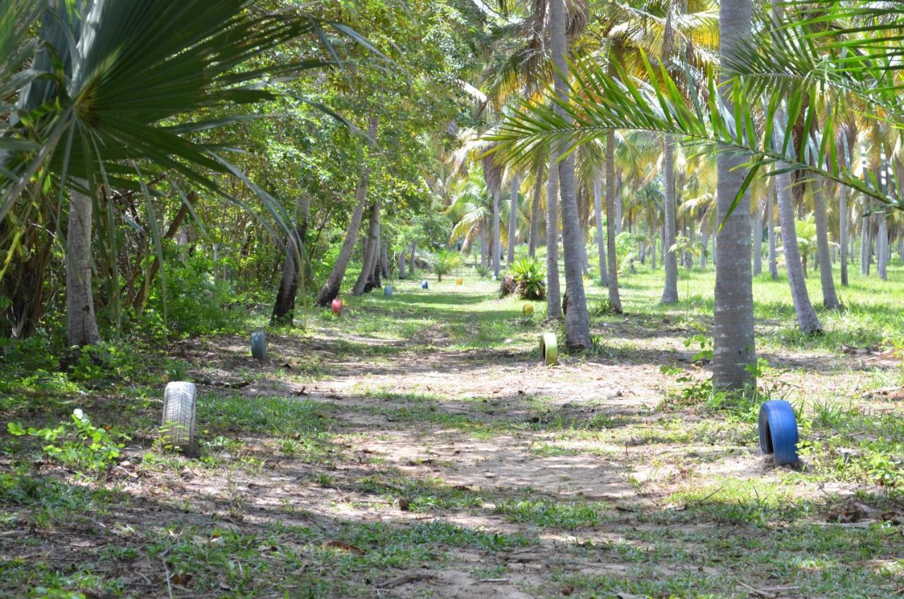 Eco Pousada Paraiso Dos Coqueirais จาปาราตินกา ภายนอก รูปภาพ